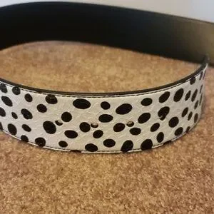 D&G | Accessories | Dolce Gabbana Polkadot Print Logo Belt  display picture 1